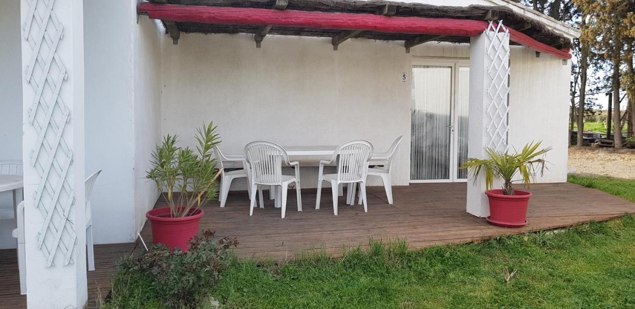 Apartament Mas Des Cypres Saintes-Maries-de-la-Mer Zewnętrze zdjęcie