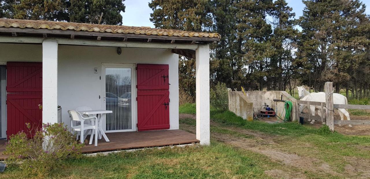 Apartament Mas Des Cypres Saintes-Maries-de-la-Mer Zewnętrze zdjęcie