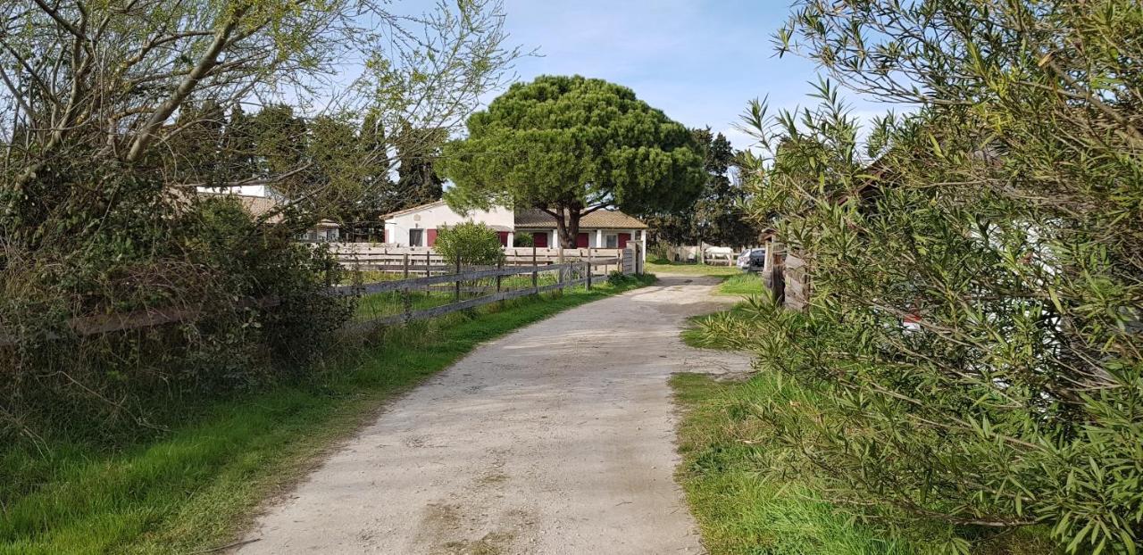 Apartament Mas Des Cypres Saintes-Maries-de-la-Mer Zewnętrze zdjęcie